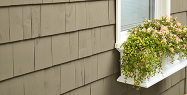 Stained cedar siding and flower/plant box